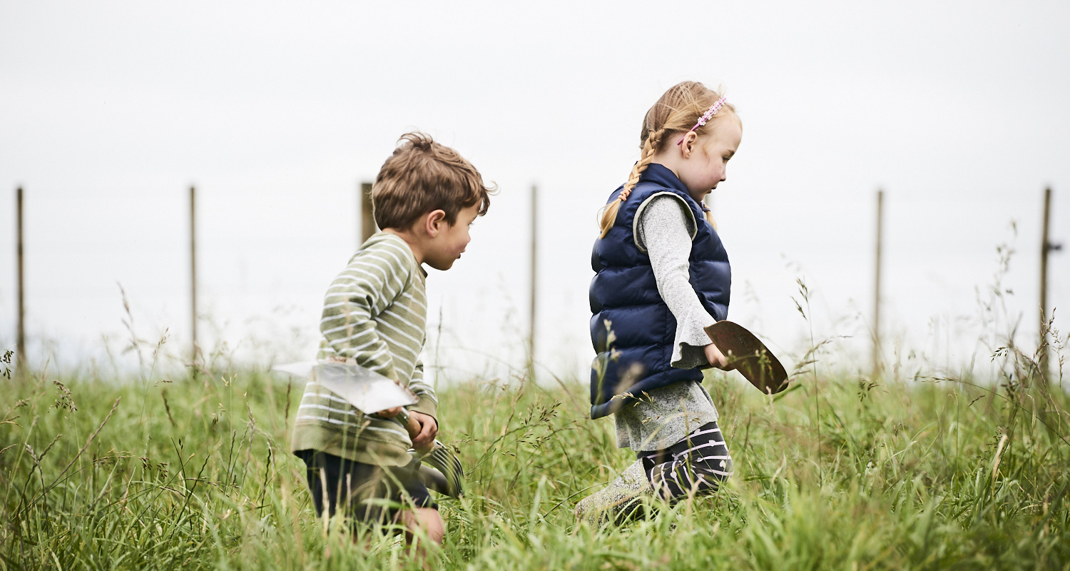 Calling farmers to host an open farms day 2025 Beef + Lamb New Zealand